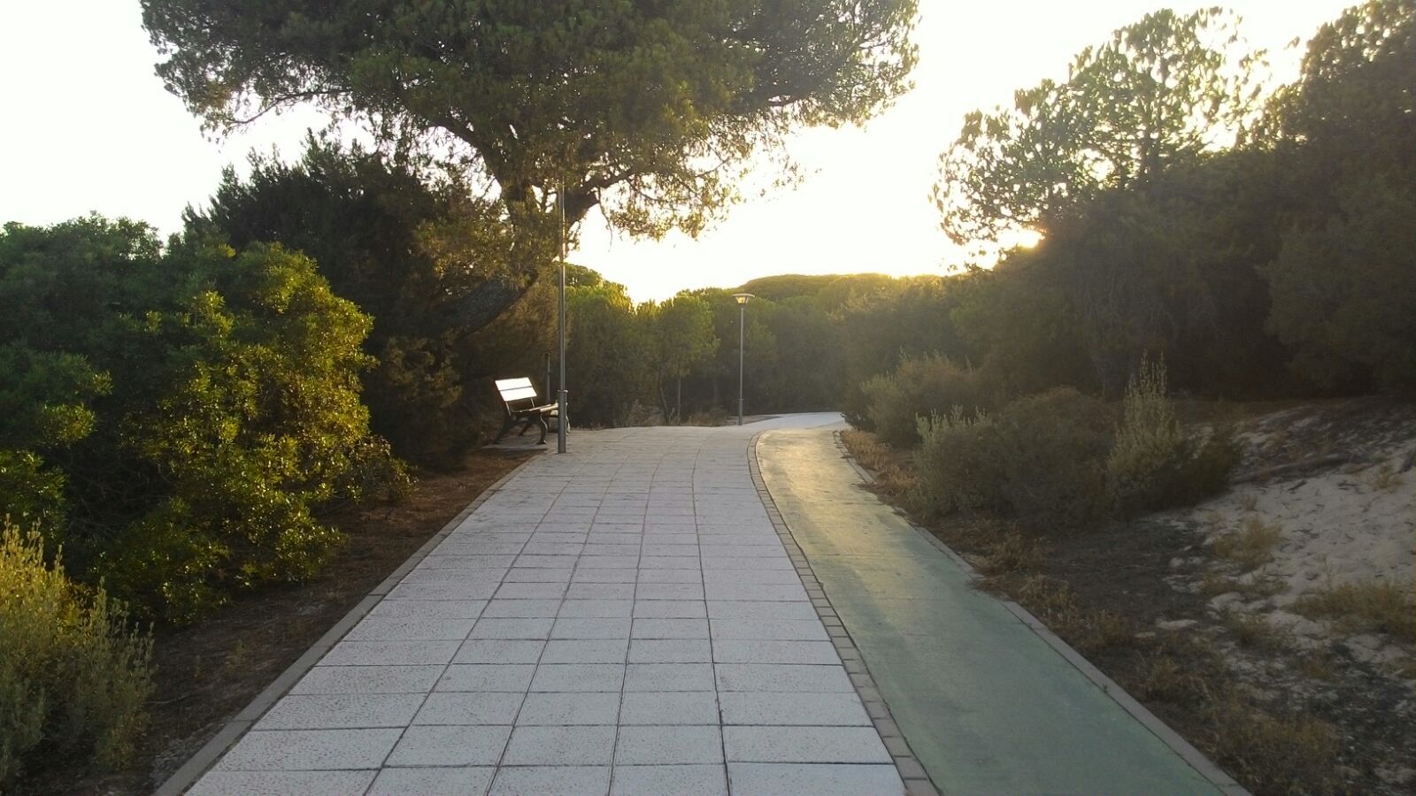 Paseo en el Nuevo Portil