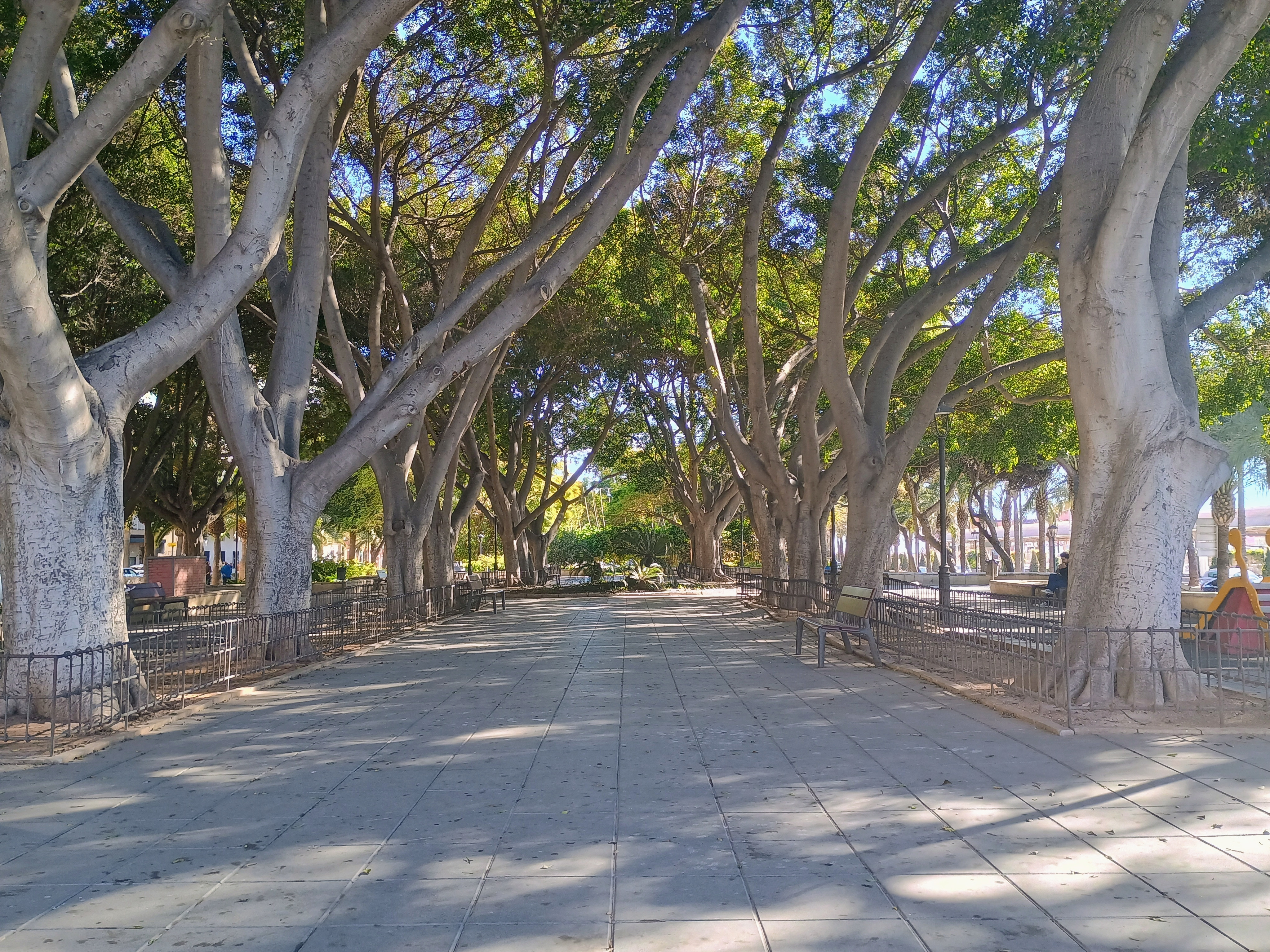 Parque Nicolás Salmerón