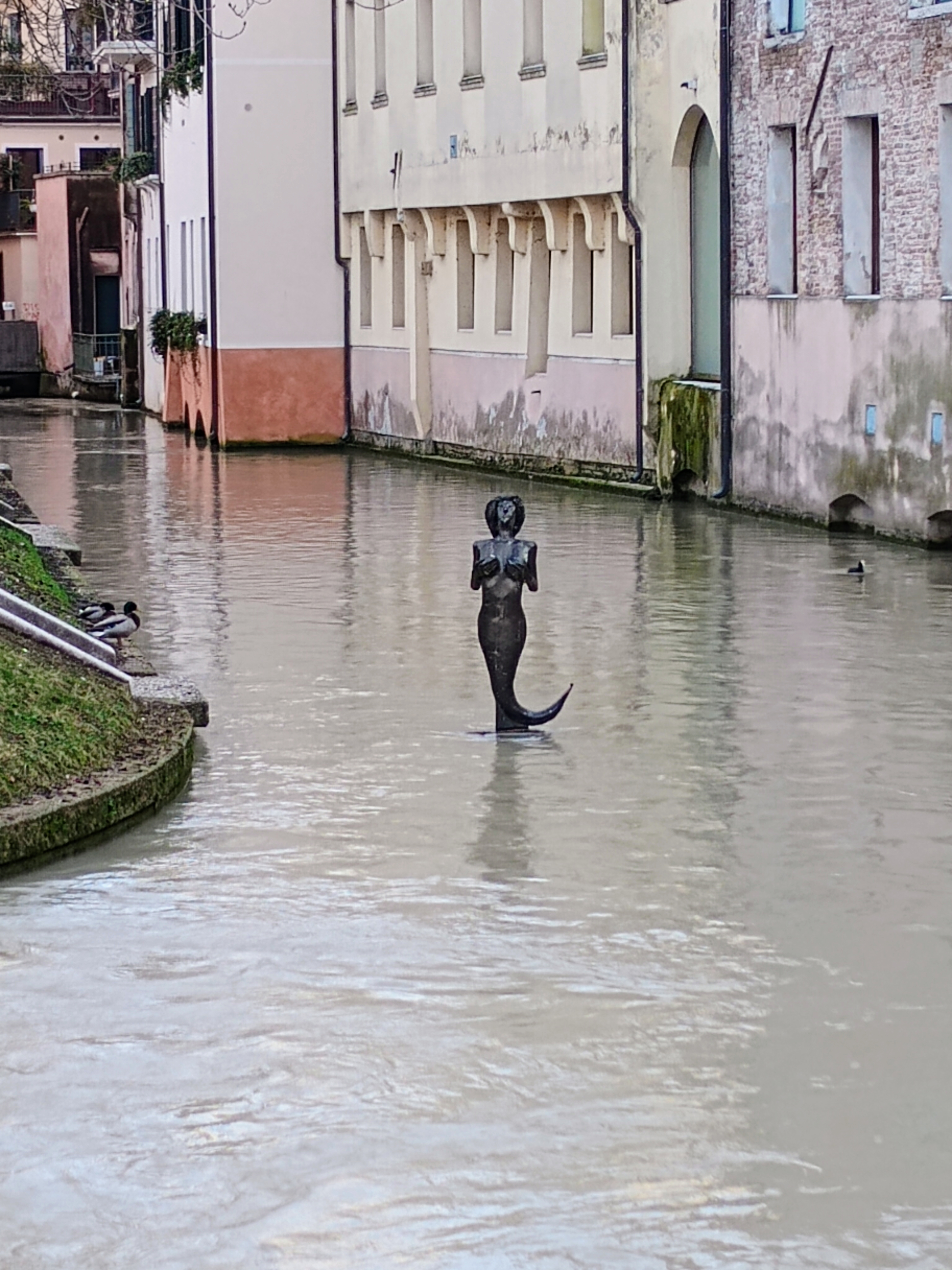 Isola della Pescheria