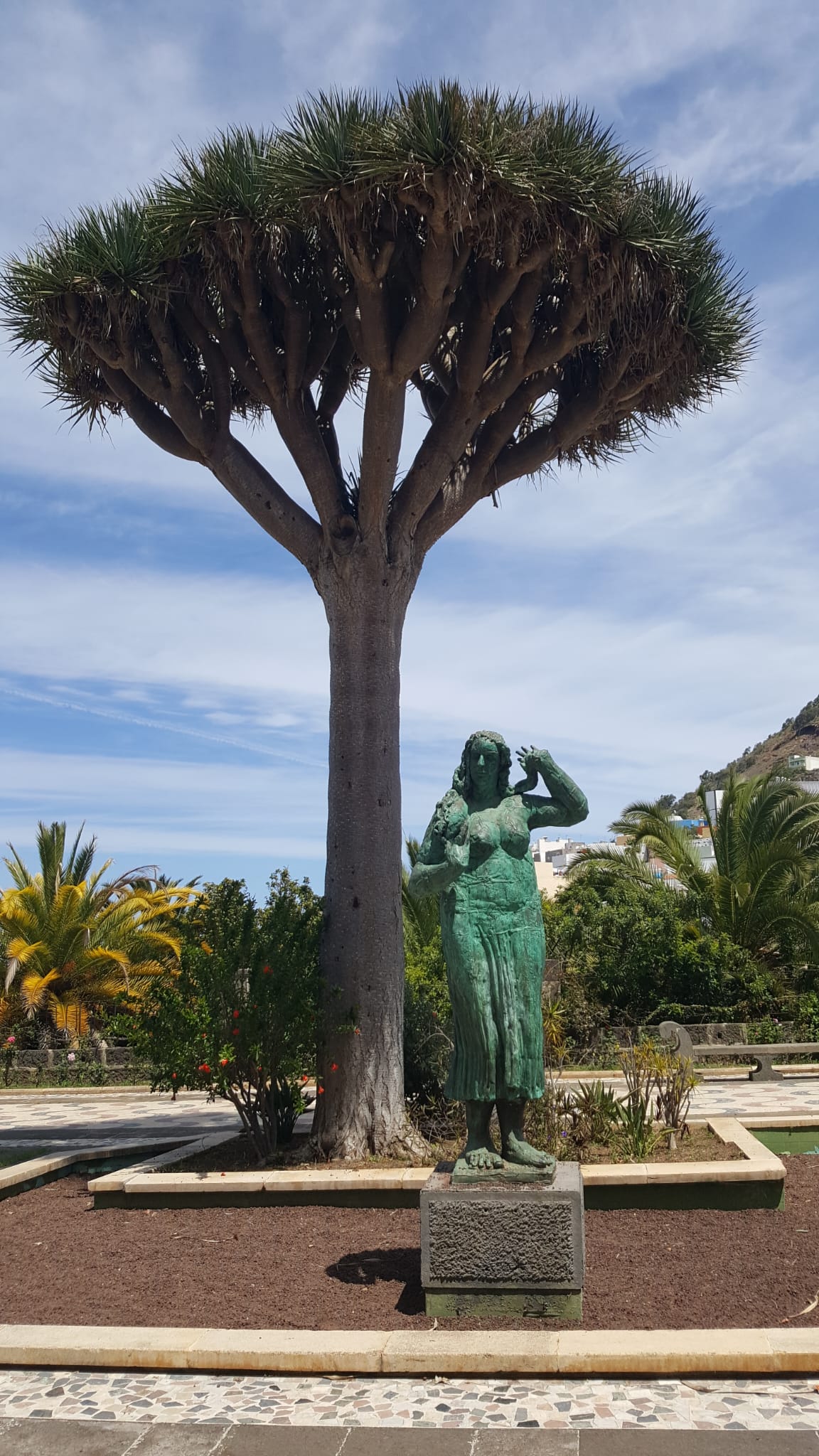 Parque Municipal de Arucas en Gran Canaria
